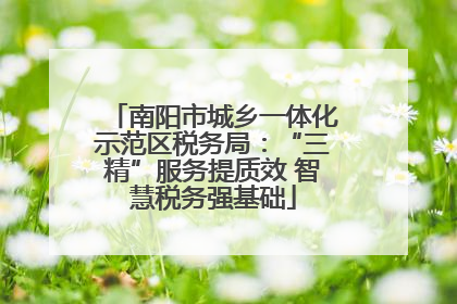 南阳市城乡一体化示范区税务局：“三精”服务提质效 智慧税务强基础