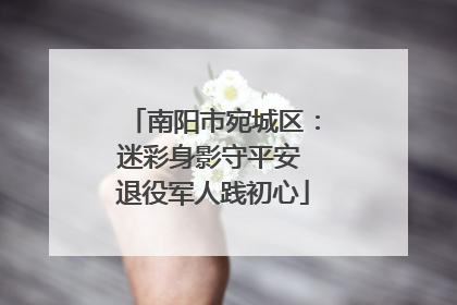 南阳市宛城区：迷彩身影守平安 退役军人践初心