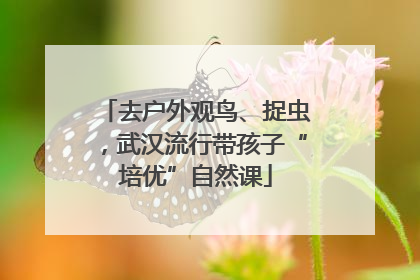 去户外观鸟、捉虫，武汉流行带孩子“培优”自然课