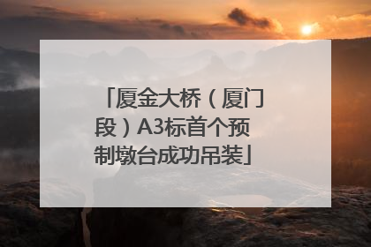 厦金大桥（厦门段）A3标首个预制墩台成功吊装