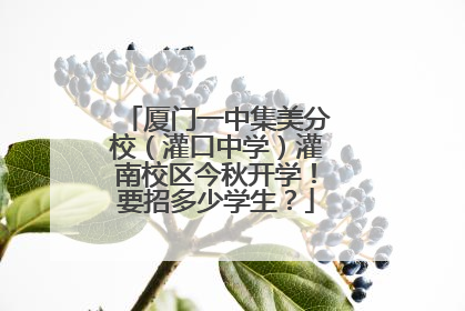 厦门一中集美分校（灌口中学）灌南校区今秋开学！要招多少学生？