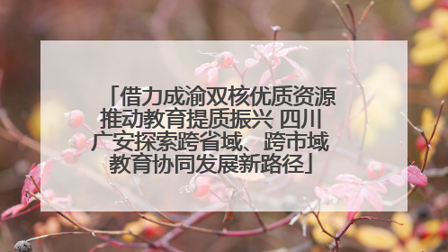 借力成渝双核优质资源推动教育提质振兴 四川广安探索跨省域、跨市域教育协同发展新路径