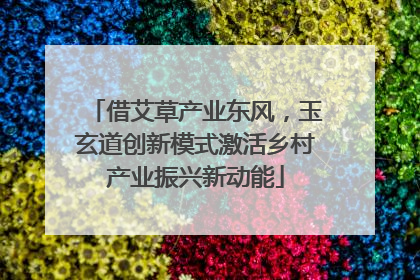 借艾草产业东风，玉玄道创新模式激活乡村产业振兴新动能