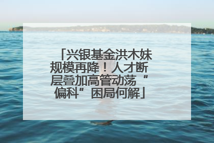 兴银基金洪木妹规模再降！人才断层叠加高管动荡“偏科”困局何解