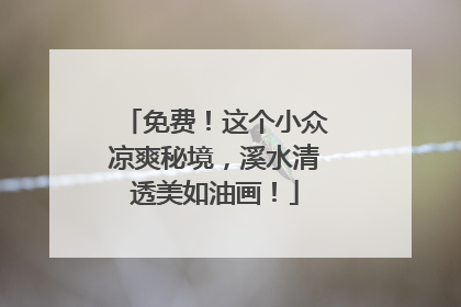 免费！这个小众凉爽秘境，溪水清透美如油画！