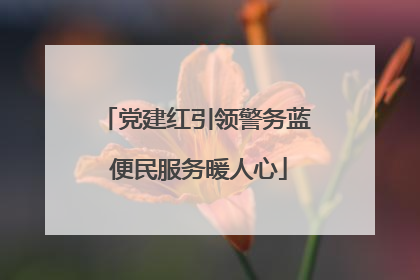 党建红引领警务蓝 便民服务暖人心