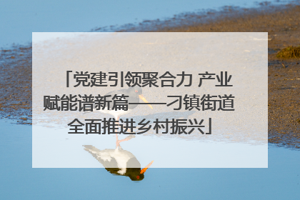 党建引领聚合力 产业赋能谱新篇——刁镇街道全面推进乡村振兴