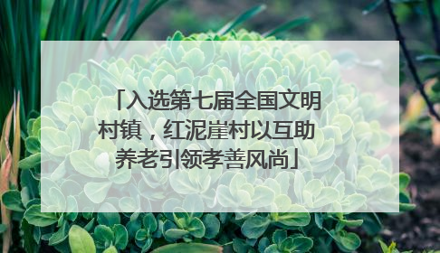入选第七届全国文明村镇，红泥崖村以互助养老引领孝善风尚
