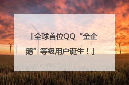 全球首位QQ“金企鹅”等级用户诞生！