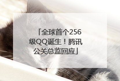 全球首个256级QQ诞生！腾讯公关总监回应