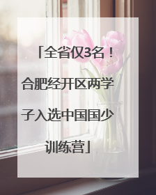 全省仅3名！合肥经开区两学子入选中国国少训练营