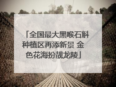 全国最大黑喉石斛种植区再添新景 金色花海扮靓龙陵