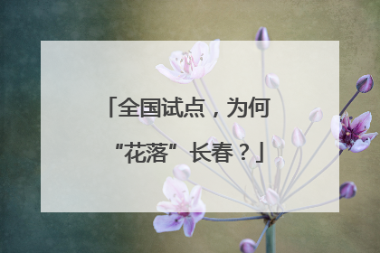 全国试点，为何“花落”长春？