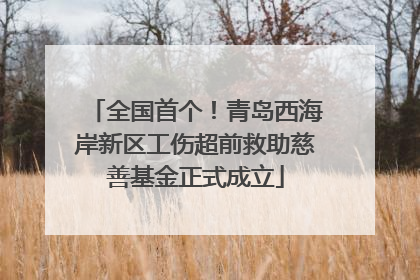 全国首个！青岛西海岸新区工伤超前救助慈善基金正式成立
