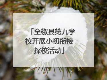 全椒县第九学校开展小初衔接探校活动
