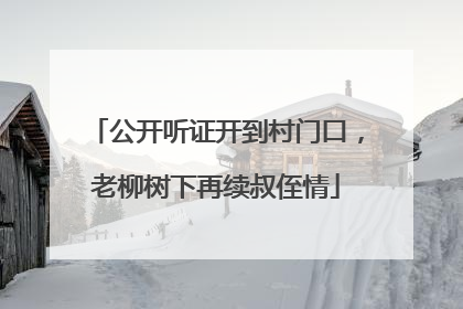 公开听证开到村门口，老柳树下再续叔侄情