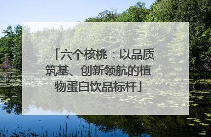 六个核桃：以品质筑基、创新领航的植物蛋白饮品标杆