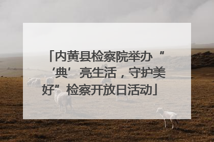 内黄县检察院举办“‘典’亮生活，守护美好”检察开放日活动