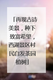 再现古诗美景，种下致富希望，西湖景区村民自发茶园植树
