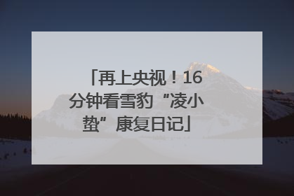 再上央视！16分钟看雪豹“凌小蛰”康复日记