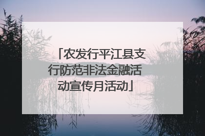 农发行平江县支行防范非法金融活动宣传月活动