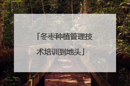 冬枣种植管理技术培训到地头