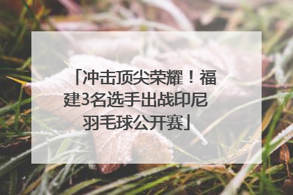 冲击顶尖荣耀！福建3名选手出战印尼羽毛球公开赛