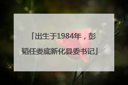 出生于1984年，彭韬任娄底新化县委书记