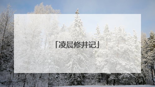凌晨修井记