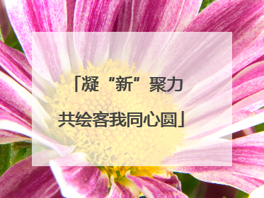 凝“新”聚力 共绘客我同心圆