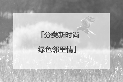 分类新时尚 绿色邻里情