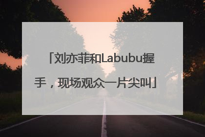 刘亦菲和Labubu握手，现场观众一片尖叫