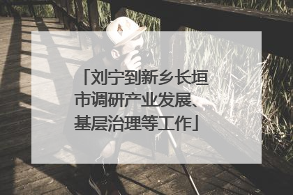 刘宁到新乡长垣市调研产业发展、基层治理等工作