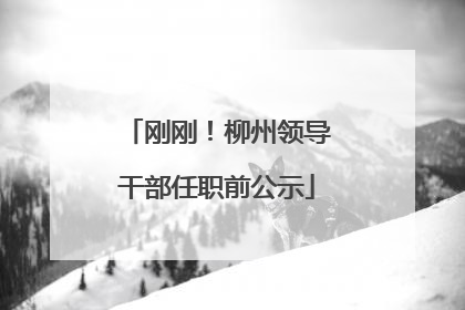 刚刚！柳州领导干部任职前公示