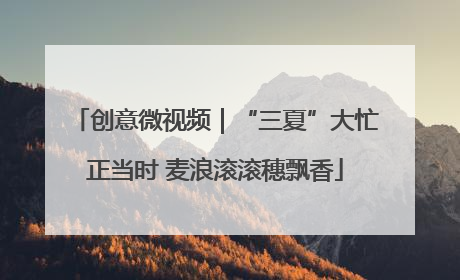 创意微视频｜“三夏”大忙正当时 麦浪滚滚穗飘香