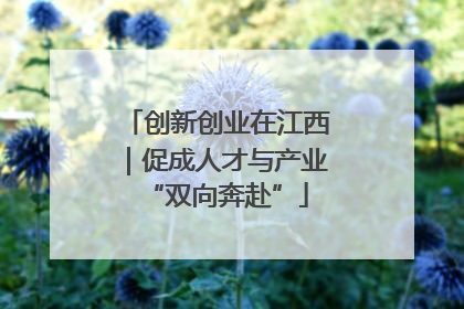 创新创业在江西｜促成人才与产业“双向奔赴”