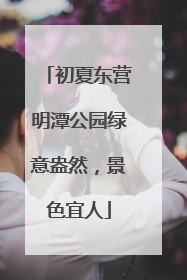 初夏东营明潭公园绿意盎然，景色宜人