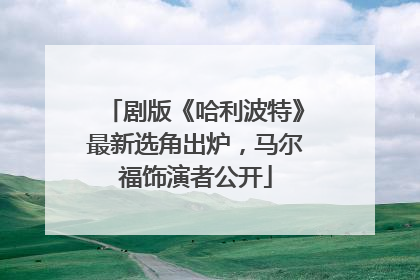 剧版《哈利波特》最新选角出炉，马尔福饰演者公开
