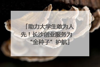 助力大学生敢为人先!长沙创业服务为“金种子”护航