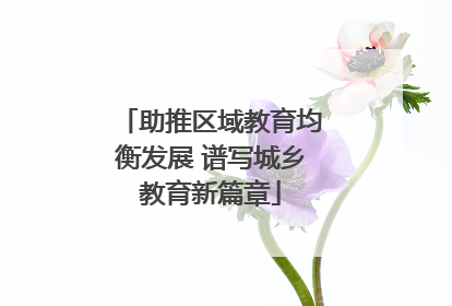 助推区域教育均衡发展 谱写城乡教育新篇章