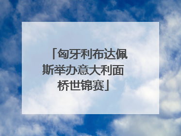 匈牙利布达佩斯举办意大利面桥世锦赛