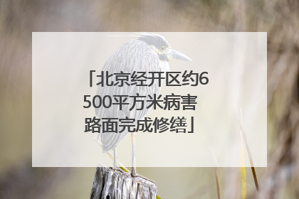 北京经开区约6500平方米病害路面完成修缮