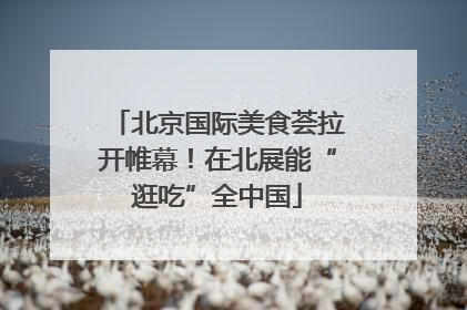 北京国际美食荟拉开帷幕！在北展能“逛吃”全中国