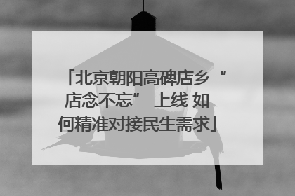 北京朝阳高碑店乡“店念不忘” 上线 如何精准对接民生需求