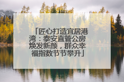匠心打造宜居港湾：泰安直管公房焕发新颜，群众幸福指数节节攀升