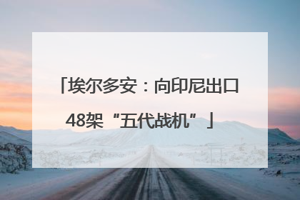 埃尔多安：向印尼出口48架“五代战机”