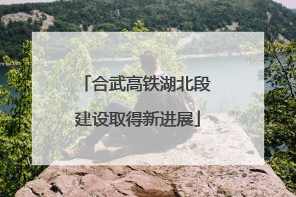 合武高铁湖北段建设取得新进展