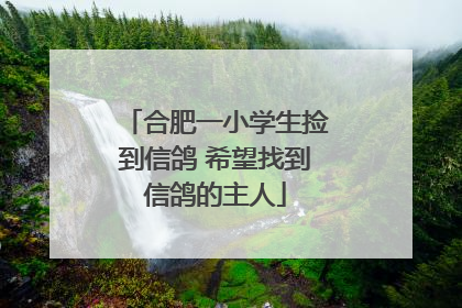 合肥一小学生捡到信鸽 希望找到信鸽的主人