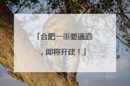 合肥一重要通道，即将开建！