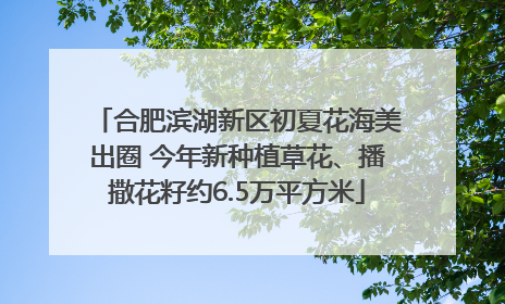 合肥滨湖新区初夏花海美出圈 今年新种植草花、播撒花籽约6.5万平方米